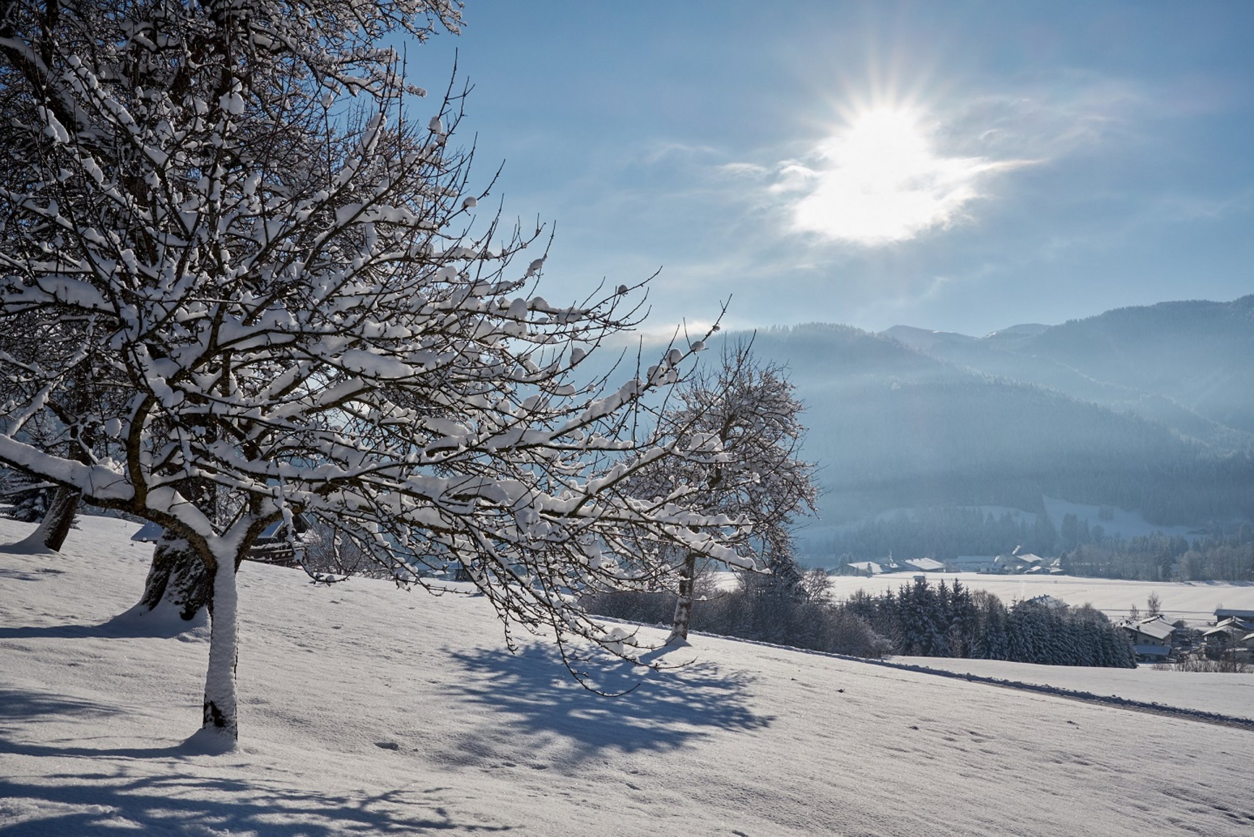 Winterlandschaft