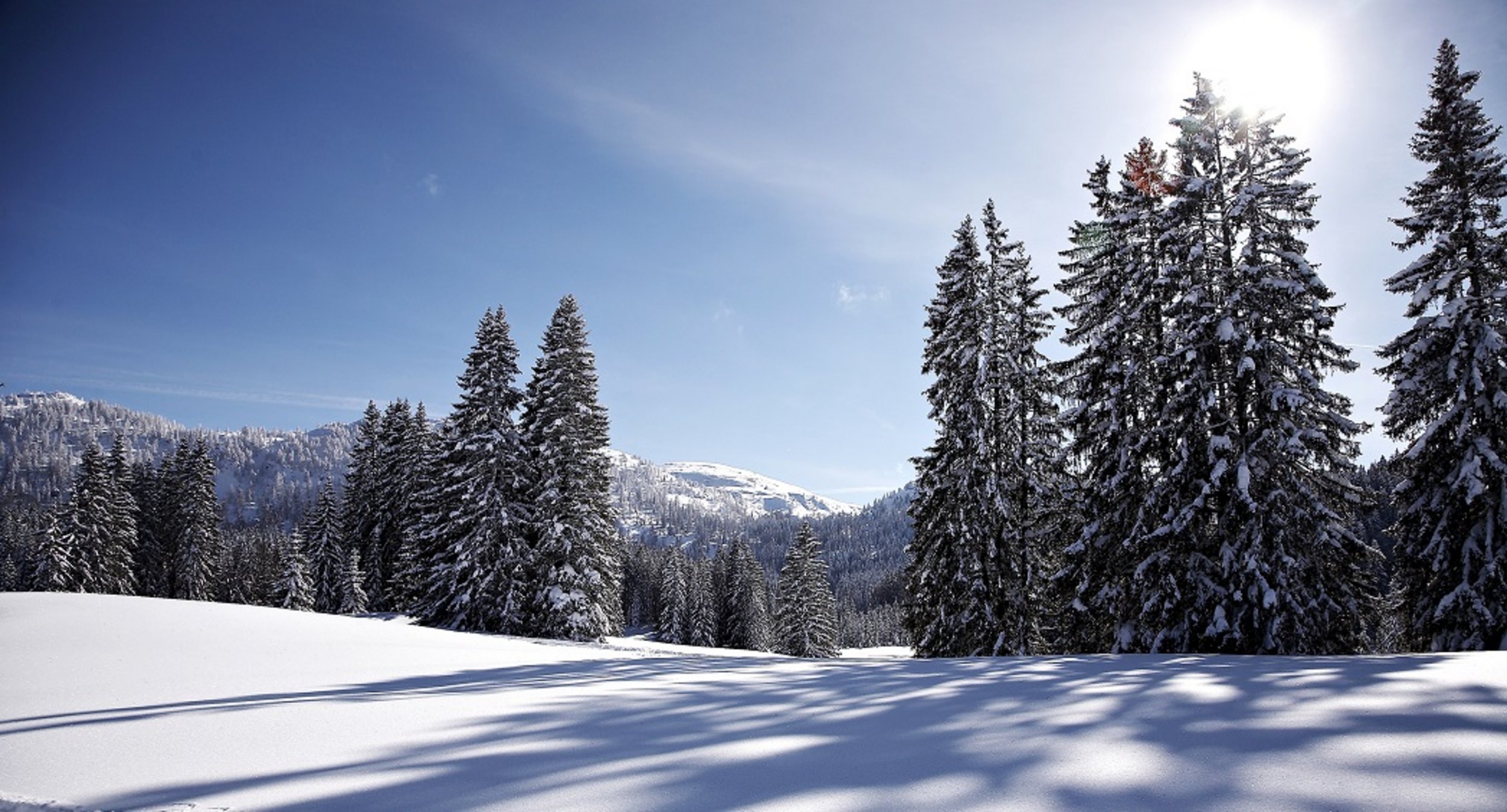 Wintertag auf der Hemmersuppenalm