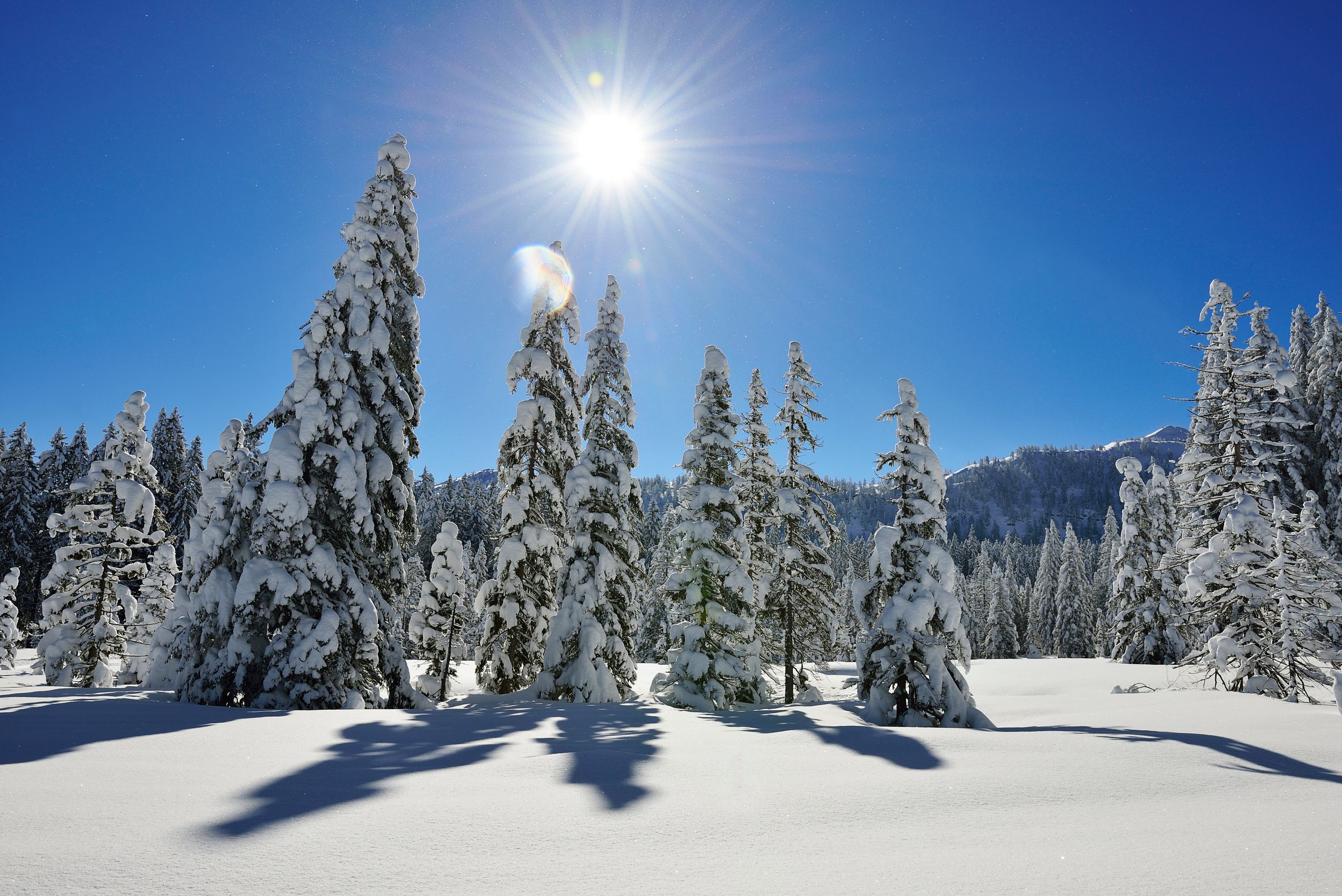 Winterlandschaft Winklmoos-Alm